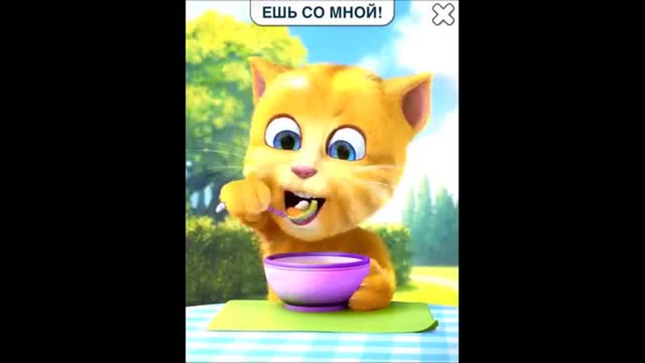 Streaming Doa Sebelum Sesudah Makan Versi Kucing Imut Doa Anak Sehari Hari Vidio