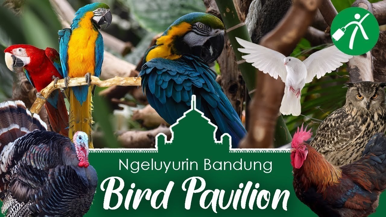Streaming Keluyuran ke Rumah Para Burung di Bird Pavilion ...