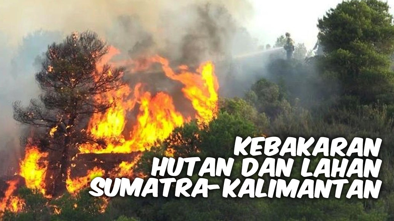 Streaming Kapan Darurat Kebakaran Hutan dan Lahan Berakhir ...
