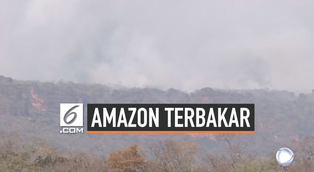 440 Hantu Hutan Amazon Gratis Terbaru