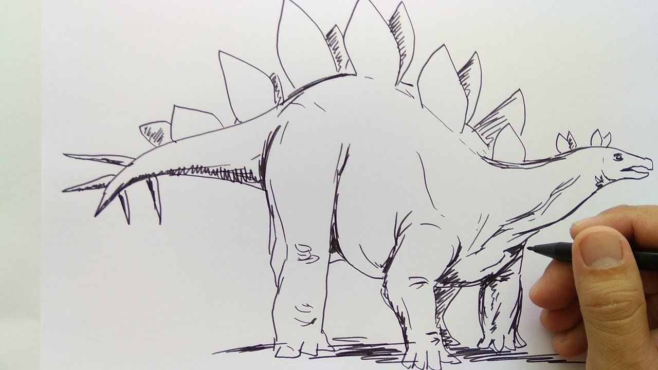 Streaming cara menggambar dinosaurus  herbivora dengan 