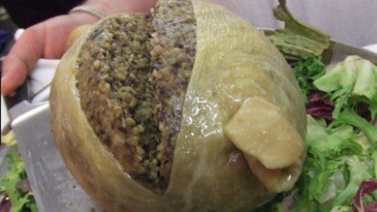 17+ Arti Mimpi Makanan Tiba Tiba Menjadi Belatung