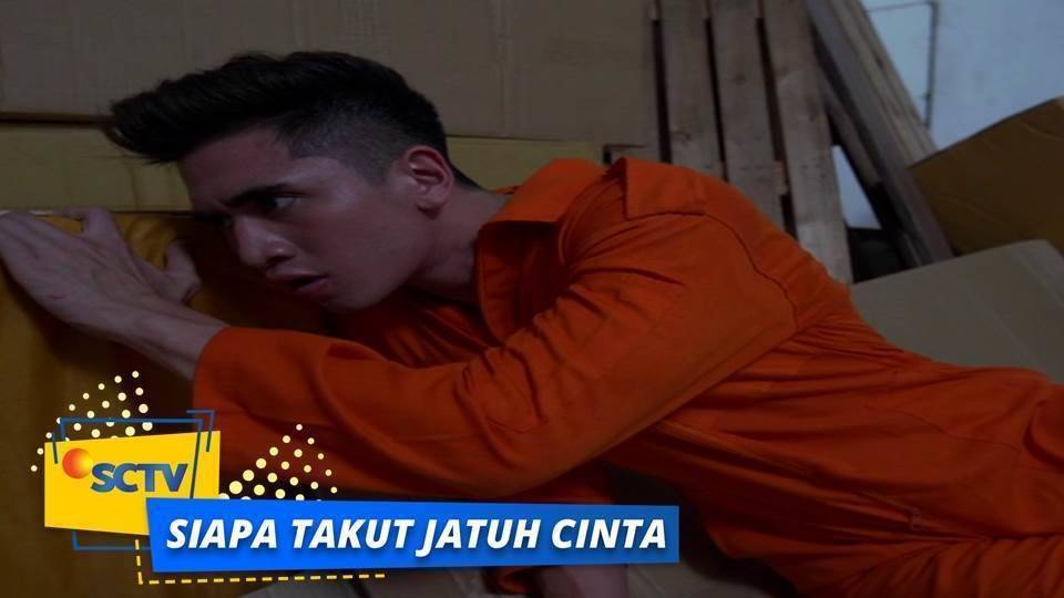 Streaming Highlight Siapa Takut Jatuh Cinta Episode 252 Vidio