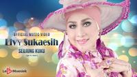 Nonton Video Lirik Video Elvy Sukaesih Seujung Kukuu Terbaru Vidio Com