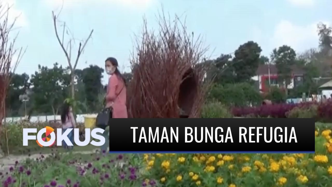 Streaming Cuci Mata Sambil Berburu Foto di Taman Bunga ...