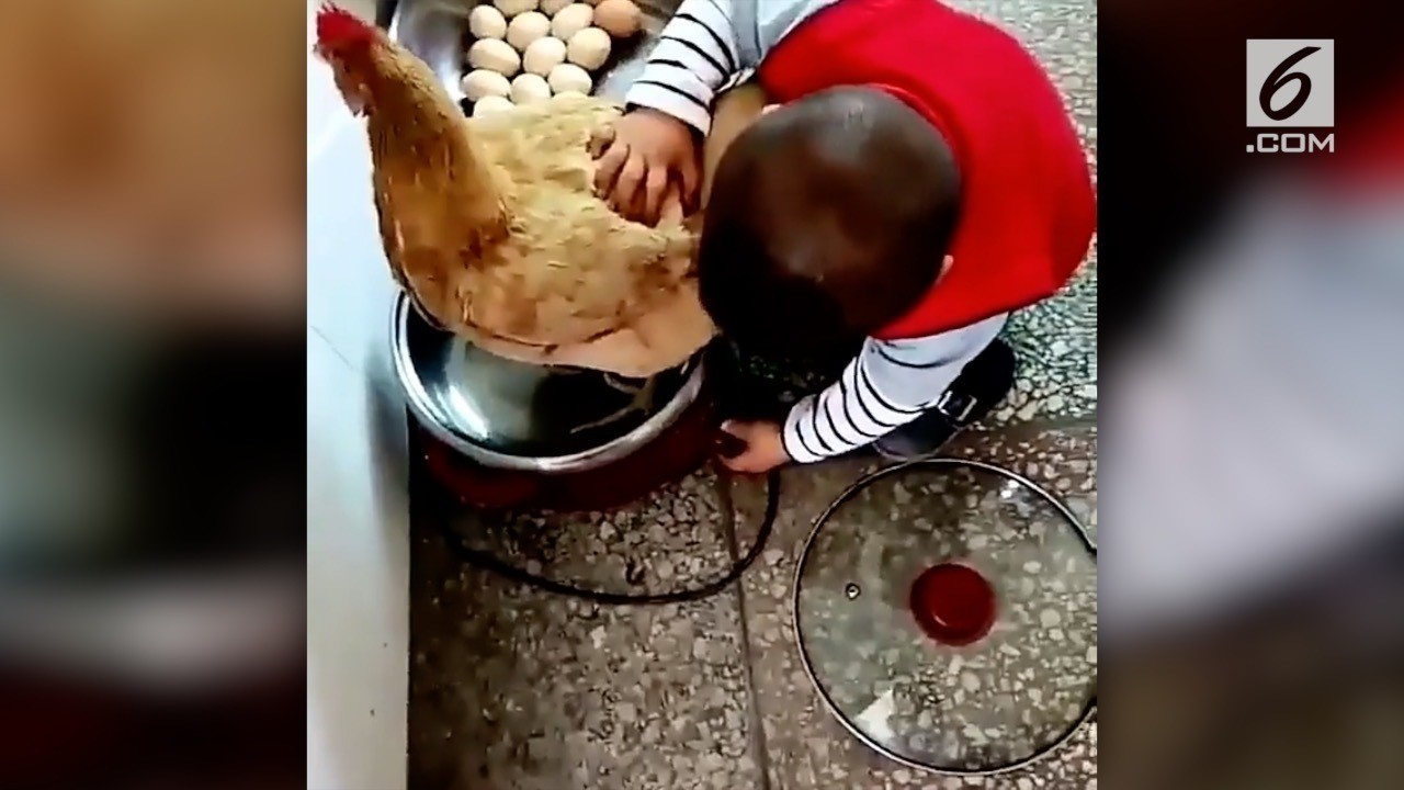 Cara Bocah Memasak Ayam Ini Kocak Banget Vidiocom