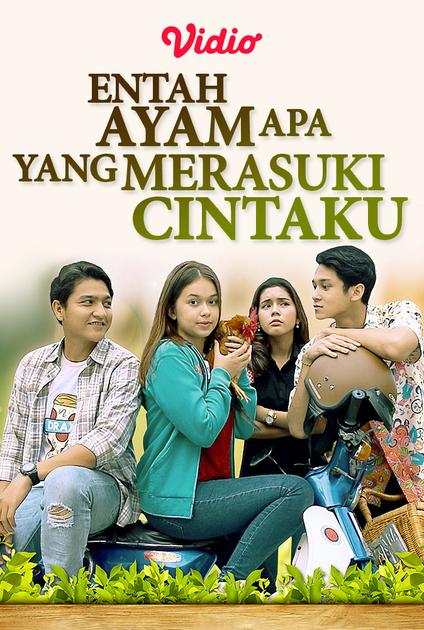 Streaming Entah Ayam Apa Yang Merasuki Cintaku Sub Indo - Vidio.com