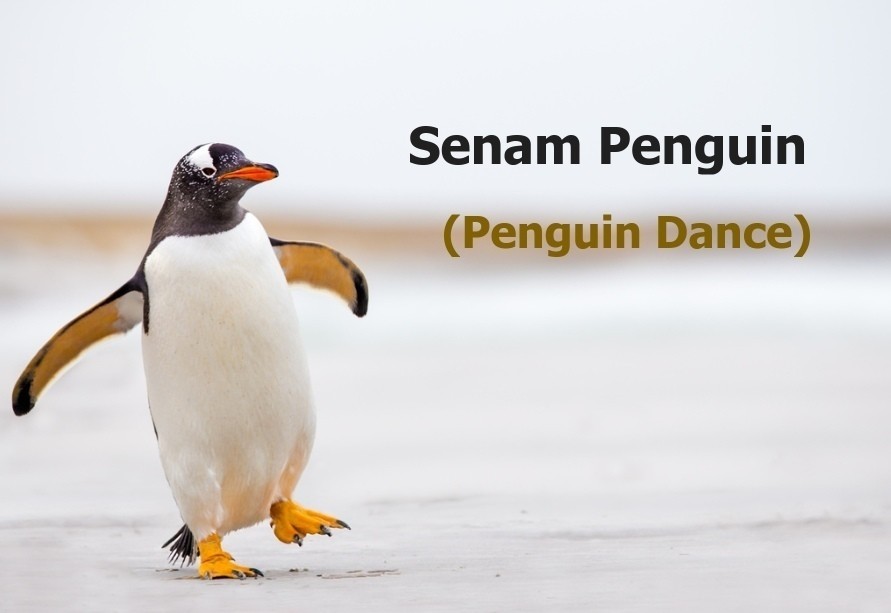  Gambar Pinguin Lucu  Pojok Ketawa