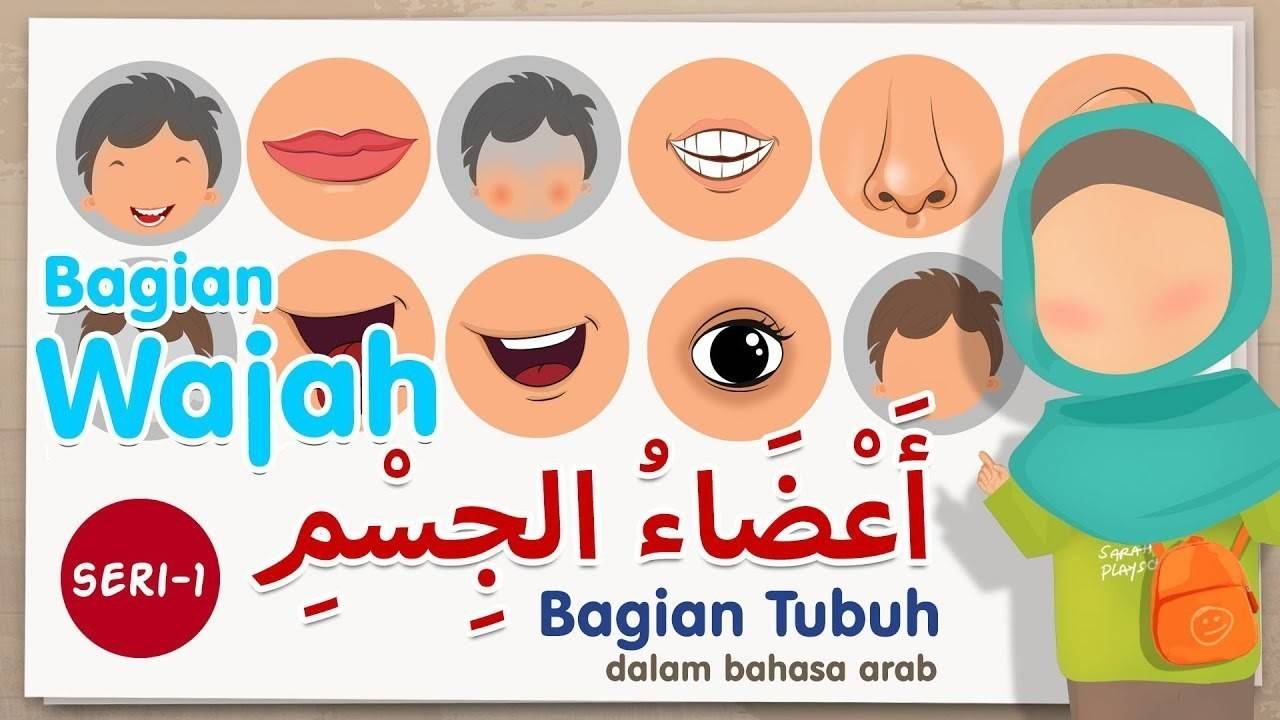Belajar Nama Bagian Tubuh Dalam Bahasa Arab Seri 1 Bagian Wajah Vidio