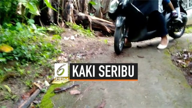 Hindari Kaki Seribu Emak Emak Jatuh  Dari  Motor  Vidio com