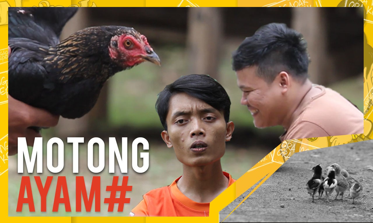 Kelaperan Motong Ayam Ngapak Video Lucu