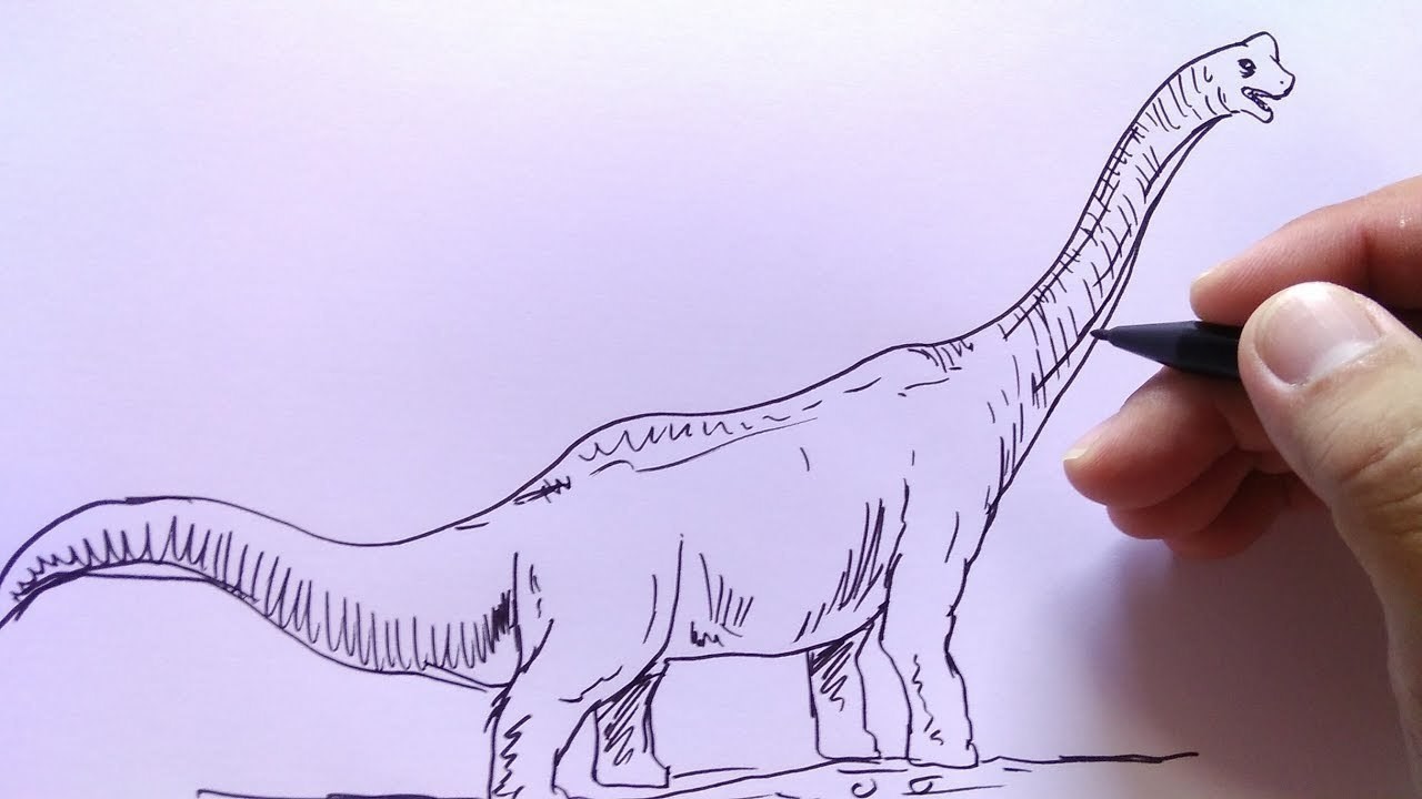 Cara Menggambar Dinosaurus Brontosaurus