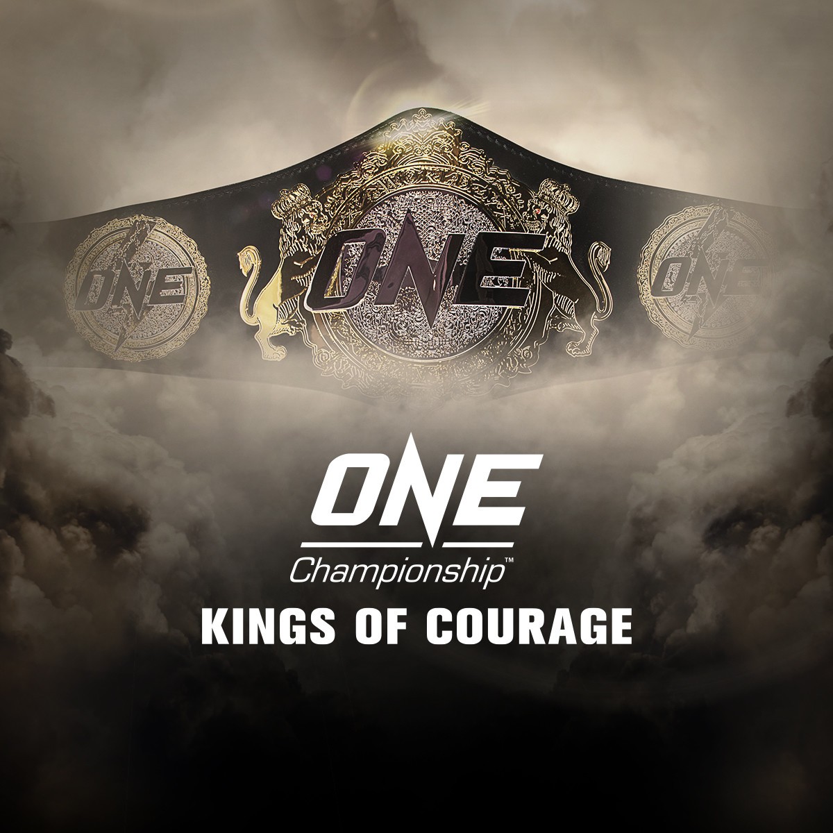 One Championship одежда. D1 Championship Japan.