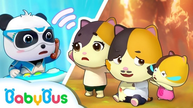 Streaming Baby  Bus  Bayi Panda  Menyelamatkan bayi Kucing 