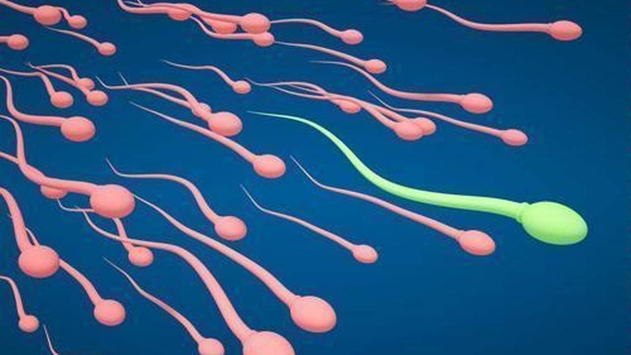 Streaming 6 Fakta Aneh Mengenai Sperma Pria.