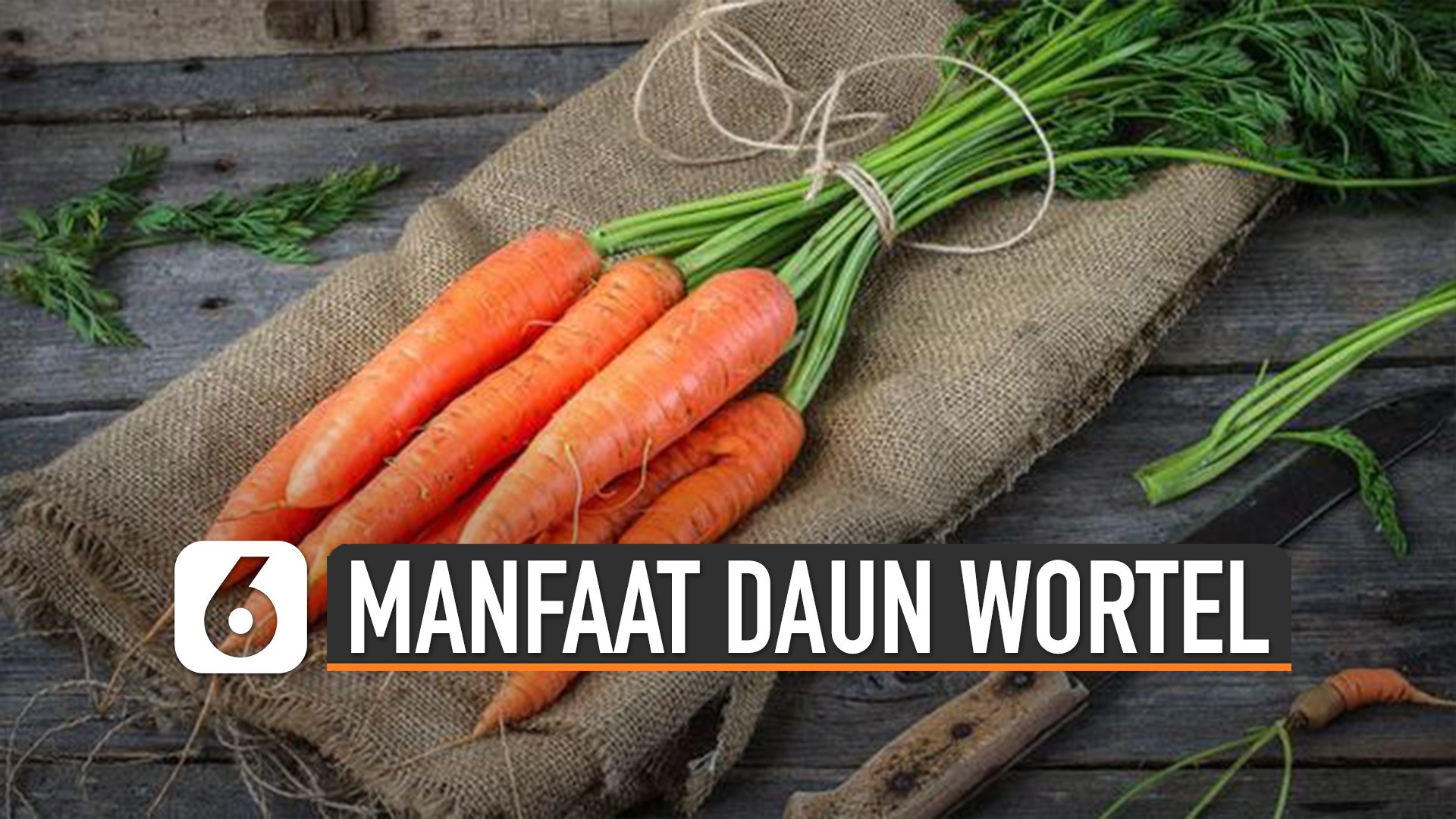 Streaming Jangan Dibuang Ini Dia Manfaat Daun Wortel Untuk Tubuh Vidio Com