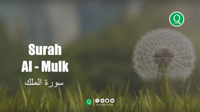 Download 74+ Contoh Surat Surat Al Mulk Qiroah Gratis
