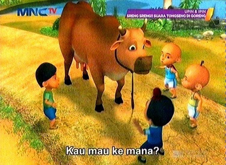 Gambar Lucu Gembala Sapi