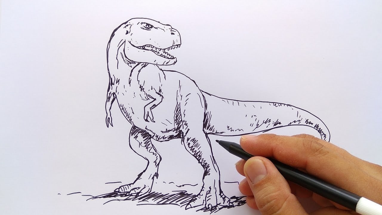 Cara Menggambar Dinosaurus T Rex