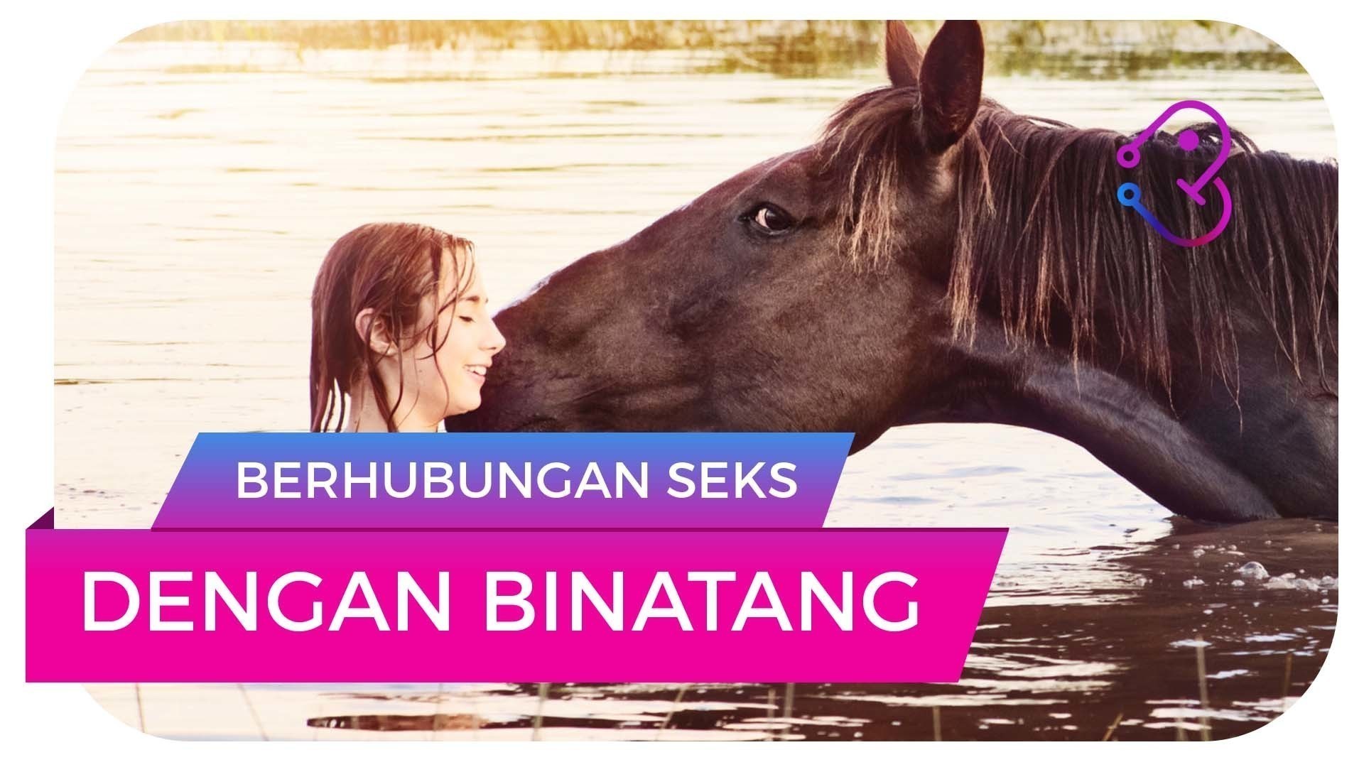 Streaming Hubungan Seks Dengan Binatang Vidio