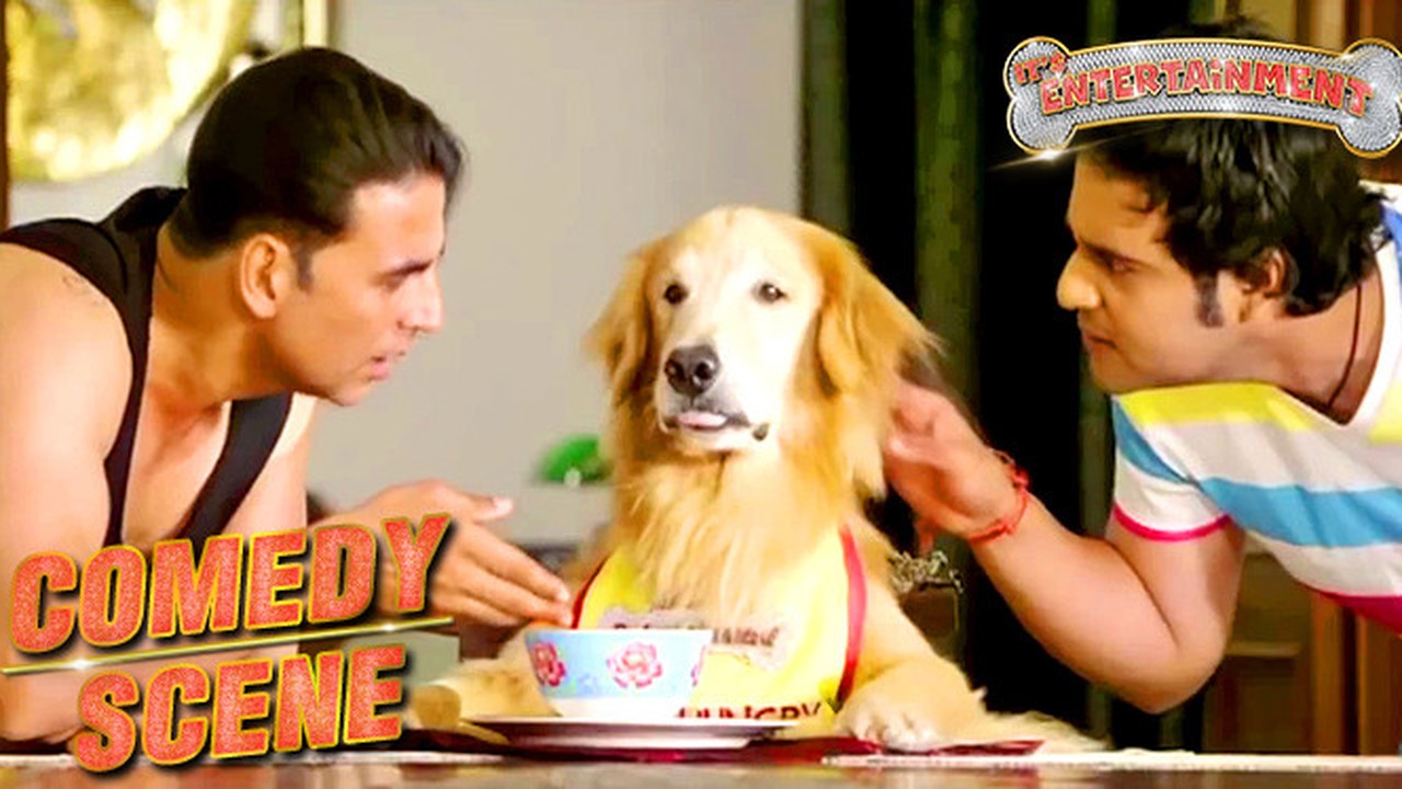 Streaming Akshay Kumar Trying To Kill The Dog Part 4 Comedy Scenes Entertainment Hindi Film Vidio Com He made his debut with a minor role in the 1987 mahesh bhatt directed indian film aaj. akshay kumar trying to kill the dog part 4 comedy scenes entertainment hindi film