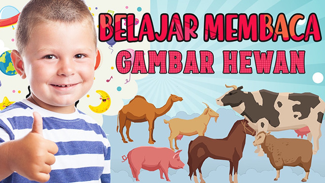 Streaming Belajar Membaca Dengan Gambar Hewan Untuk Anak Anak Vidio