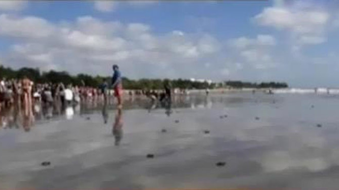 Streaming Turis Asing Ramaikan Aksi Pelepasan Ratusan ...