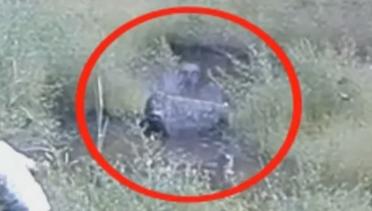 5 kisah nyata paling menyeramkan jika penakut jangan baca Video Penampakan Hantu Kumpulan Video Terbaru Vidio com 
