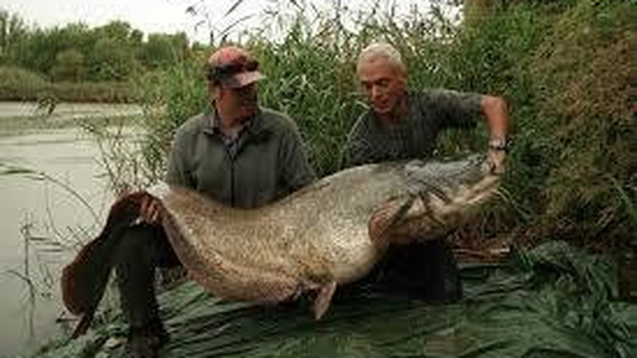 River Monster Streaming Vf Streaming Discovery Channel - River Monster | Vidio