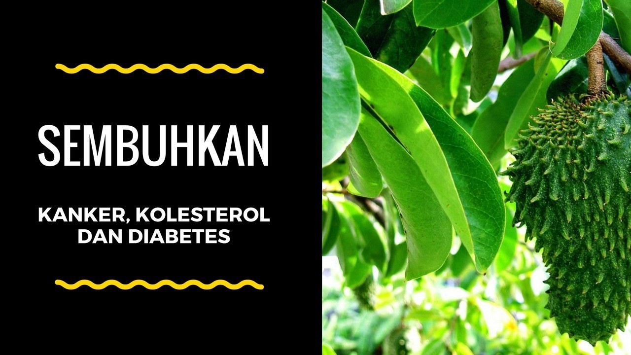 Manfaat Daun Sirsak Untuk Kesehatan Mata - Terkait Mata