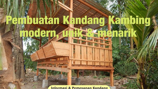 Kandang Kambing Dan Domba