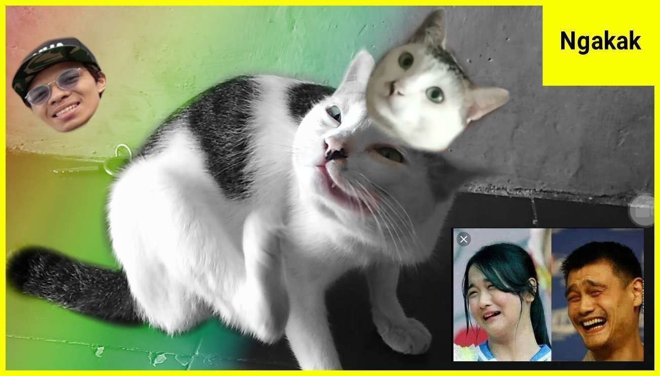 Gambar Lucu Terbaru 2018 Bikin Ngakak Abis