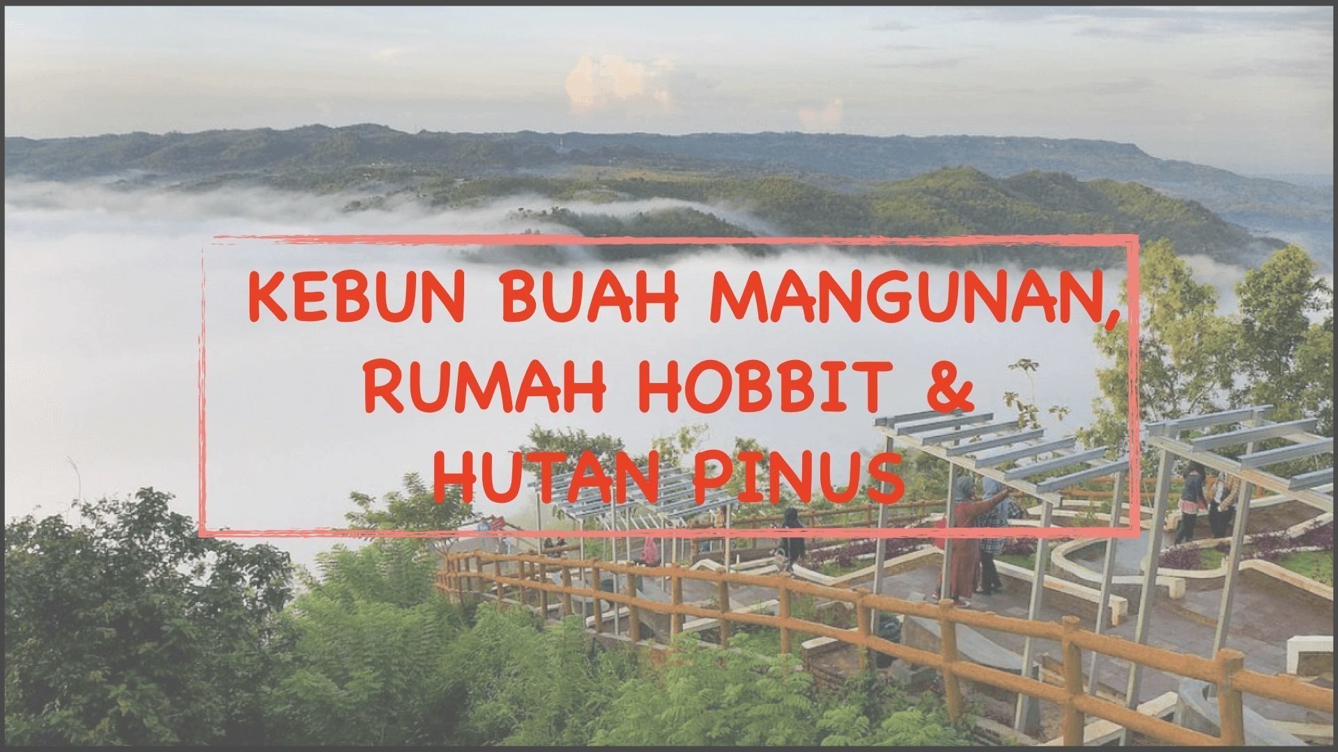 Agrowisata Kebun Buah Mangunan Rumah Hobbit Hutan Pinus