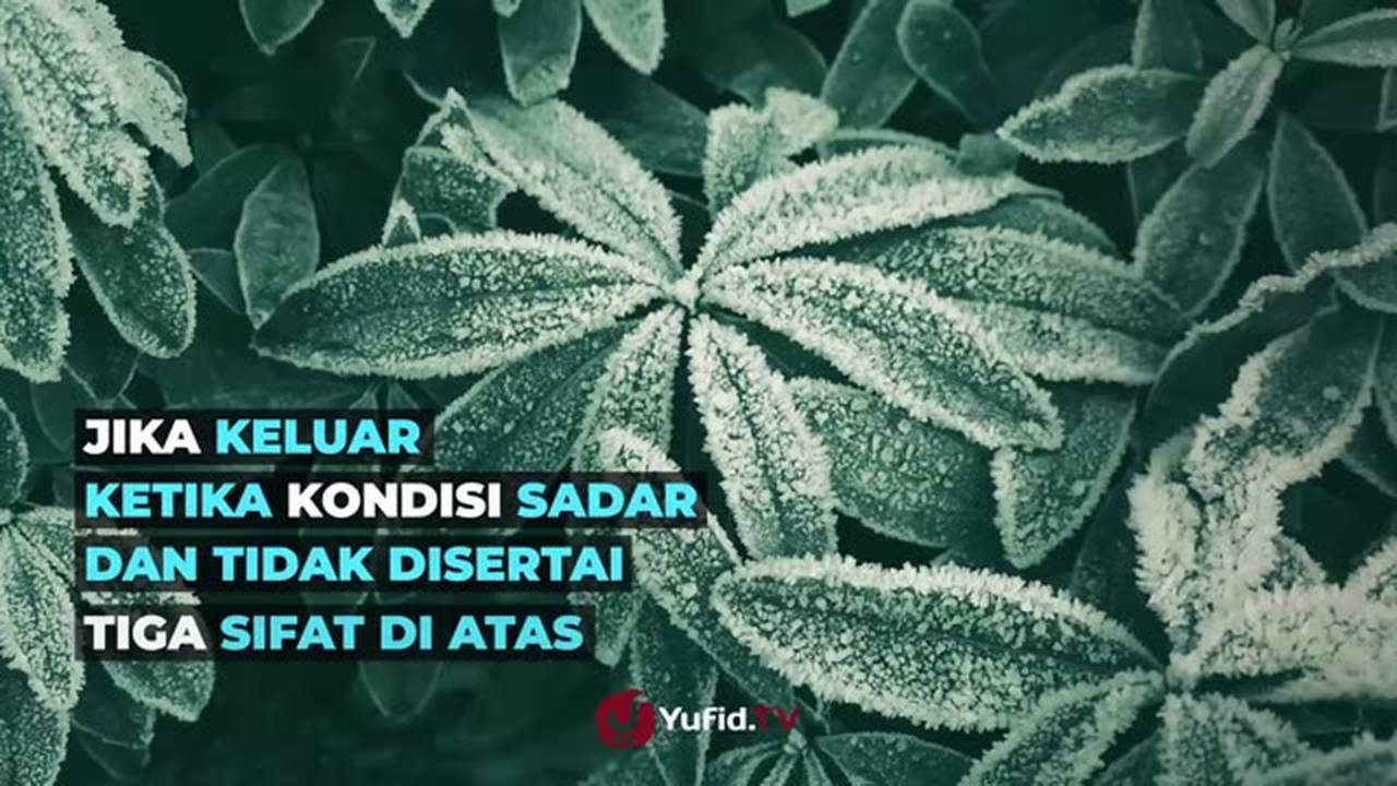 Perbedaan Air Mani Madzi Dan Wadi Poster Dakwah Yufid Tv Vidio