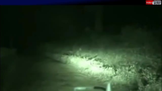 960 Hantu Pocong Di Tepi Jalan Terbaru